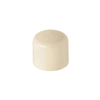 TAPON CACHUCHA CPVC 3/4 FOSET (45119)