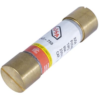 FUSIBLE CARTUCHO 60AMP IUSA (310883)